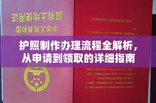 资源护照制作办理流程全解析，从申请到领取的详细指南